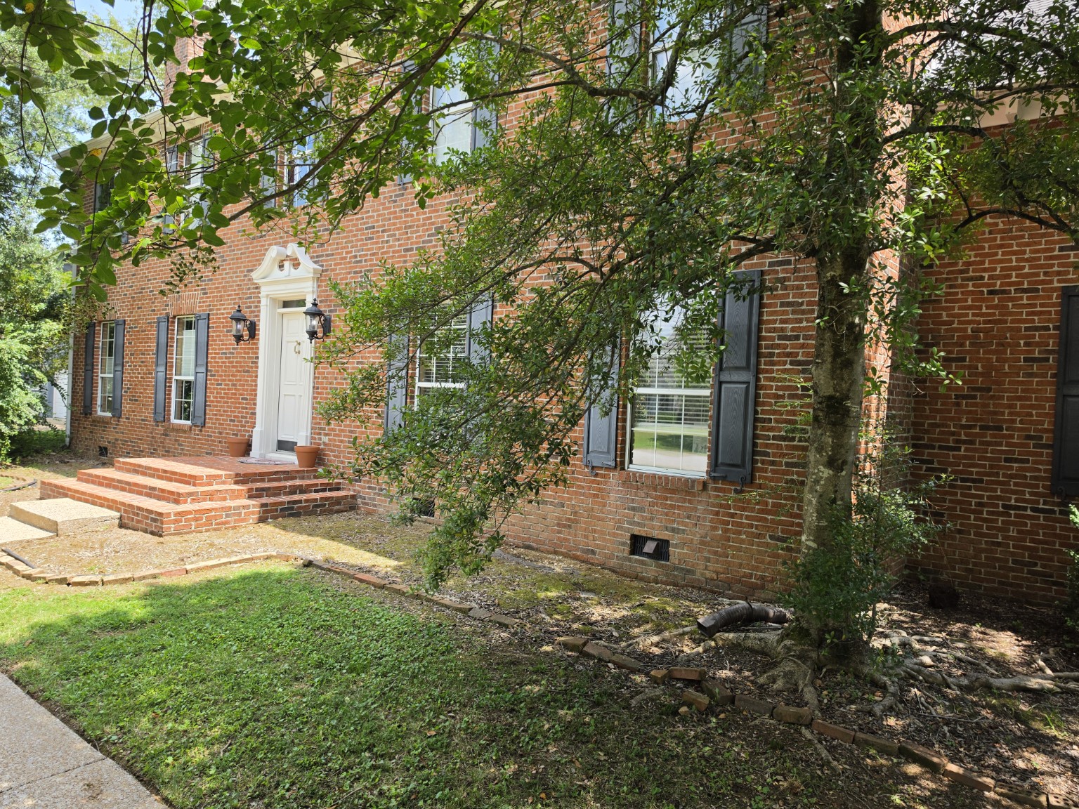 Landscape before curb appeal work